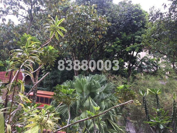 Clementi Park (D21), Condominium #157839822
